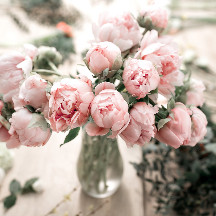 Evelyn Rose Fragrance Oil 1036