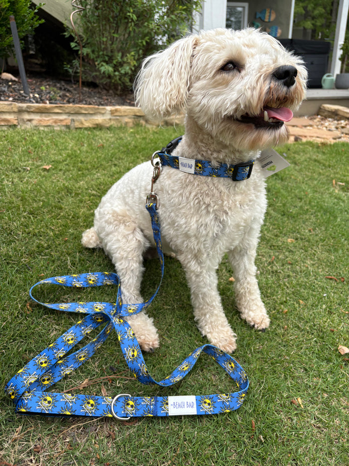 MD Dog Collar