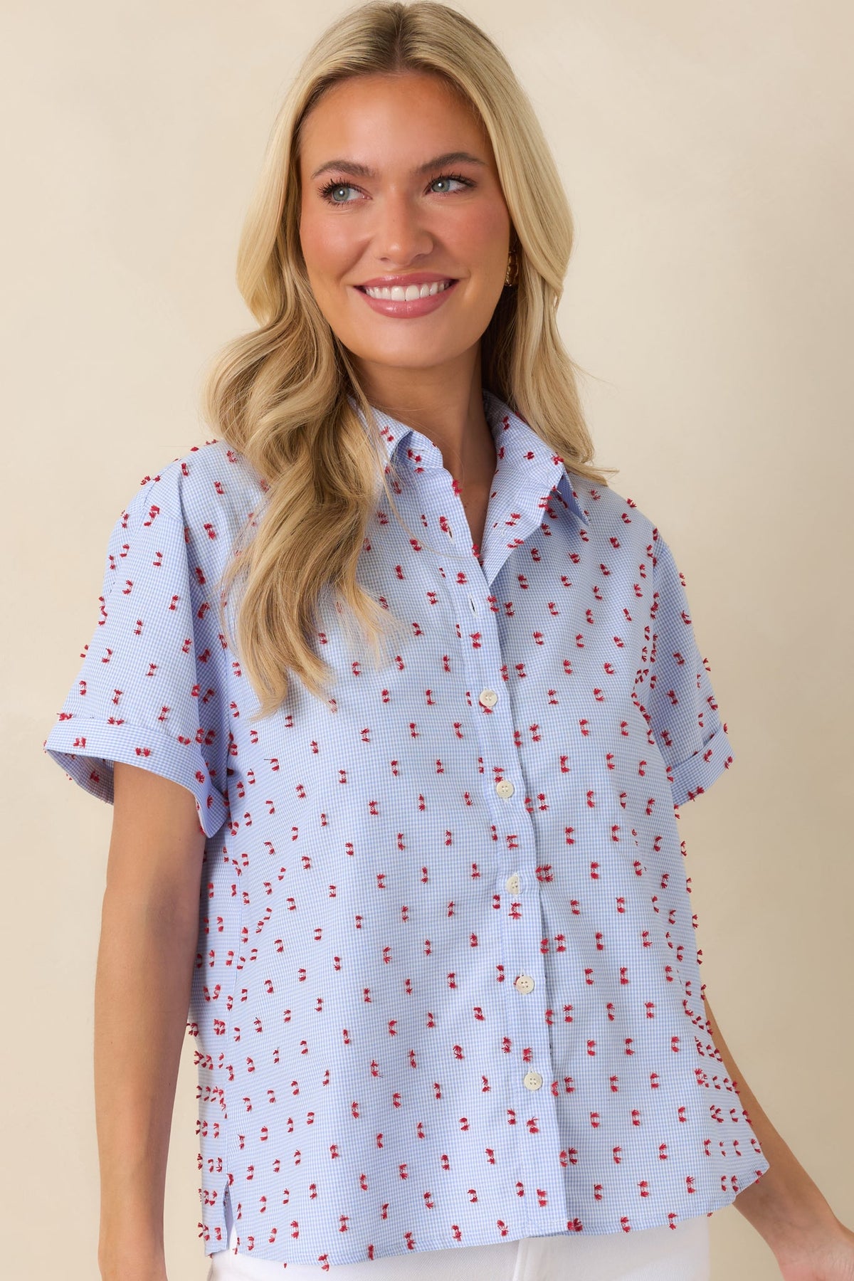 Prosperina Meg Blue Gingham Embroidered Top