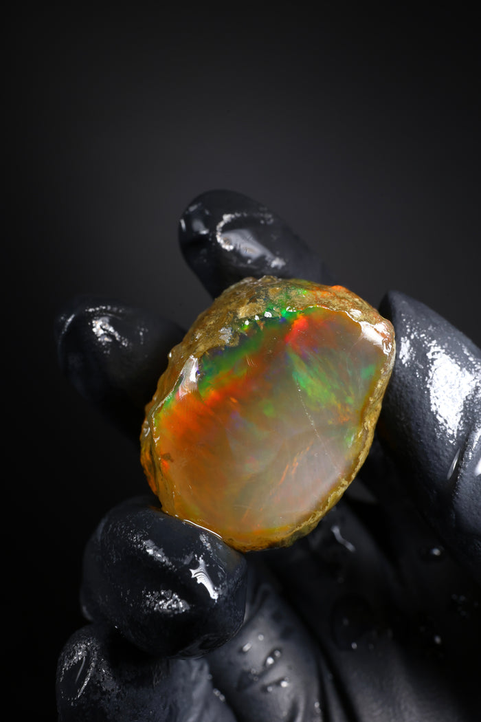24.10g Rough Ethiopian Welo Specimen Opal
