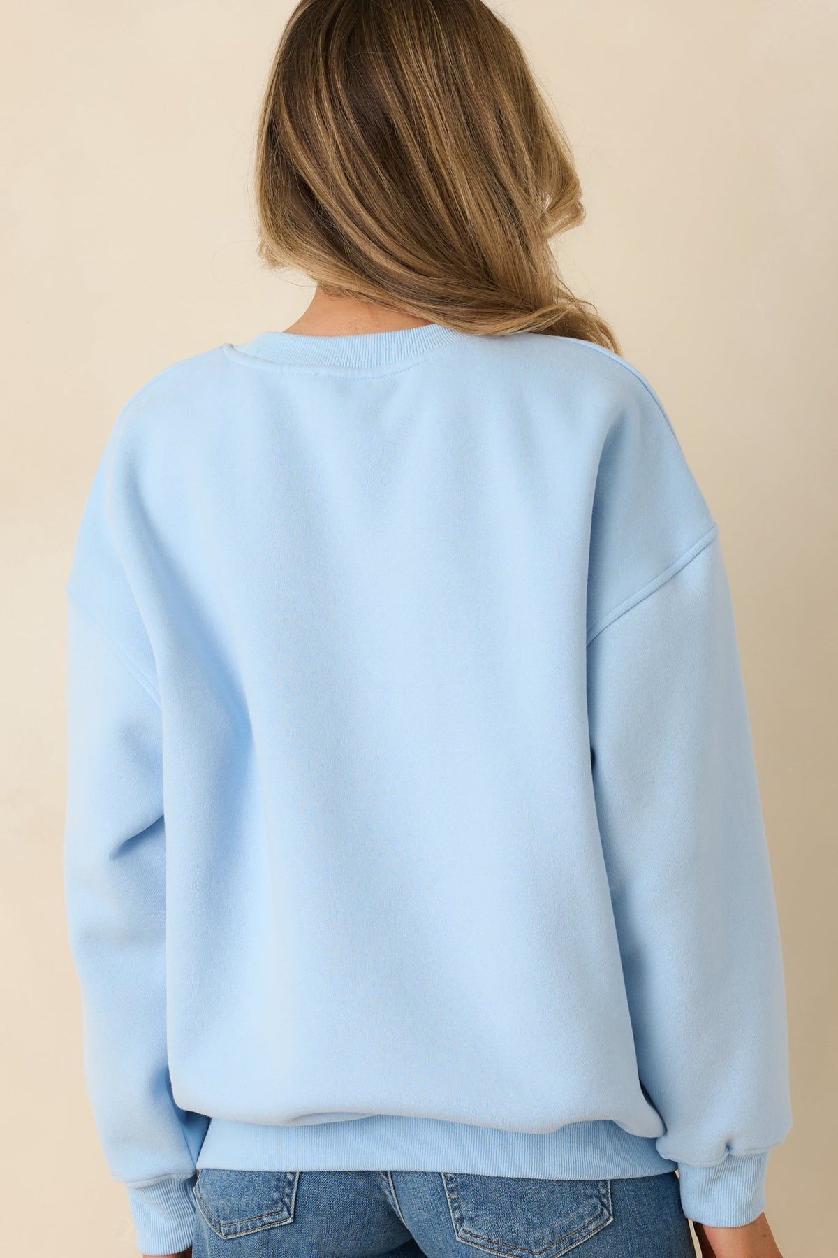 Collected Moments Light Blue Embroidered Crewneck Sweatshirt