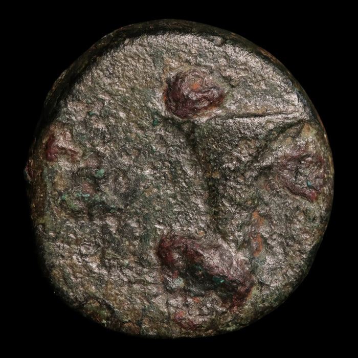 Aeolis, City of Kyme, AE Unit, Eagle & Cup - c. 350 to 250 BCE - Greek World