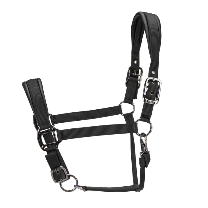 ARMA Pro Padded Headcollar