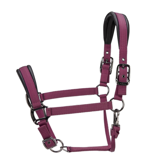 ARMA Pro Padded Headcollar