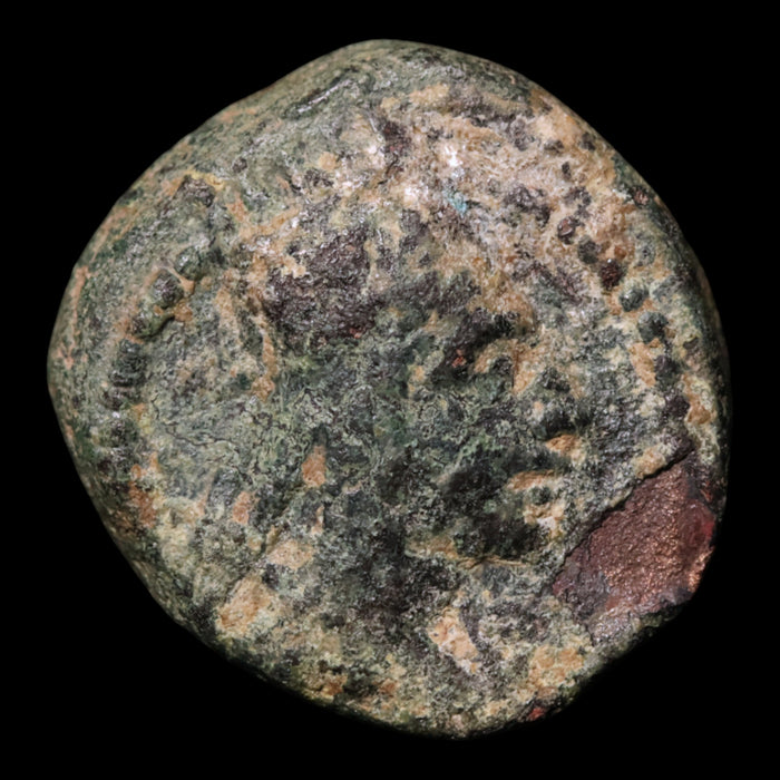 Armenia, Tigranes II "the Great," AE Unit, Cornucopia Reverse - 83 to 69 BCE - Hellenistic Armenia