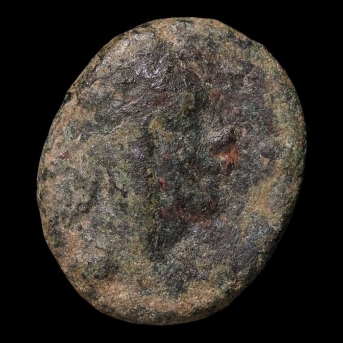 Armenia, Tigranes II "the Great," AE Unit, Ear of Corn Reverse - 95 to 56 BCE - Hellenistic Armenia