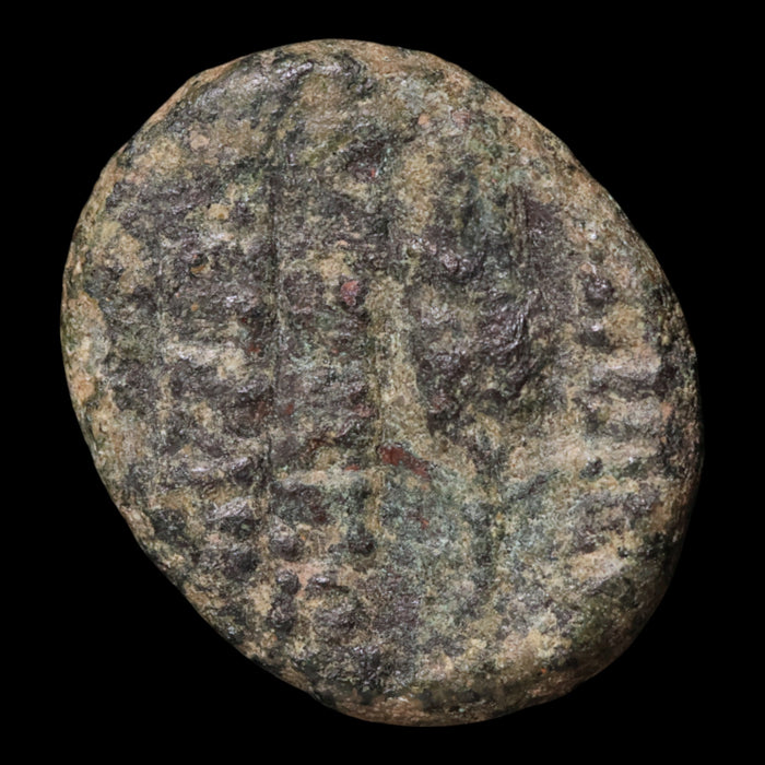 Armenia, Tigranes II "the Great," AE Unit, Ear of Corn Reverse - 95 to 56 BCE - Hellenistic Armenia