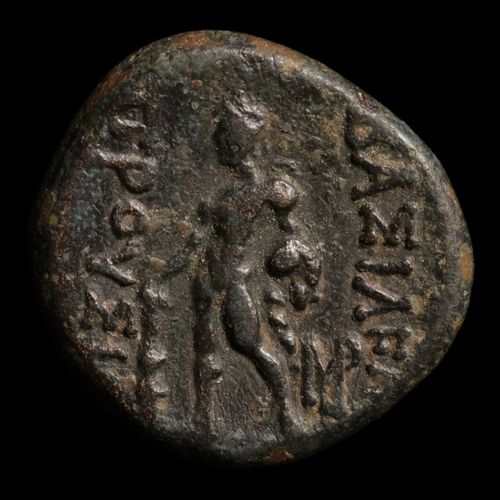 Bithynia, King Prusias II, AE Unit, Heracles (Hercules) - 183 to 149 BCE - Greek World