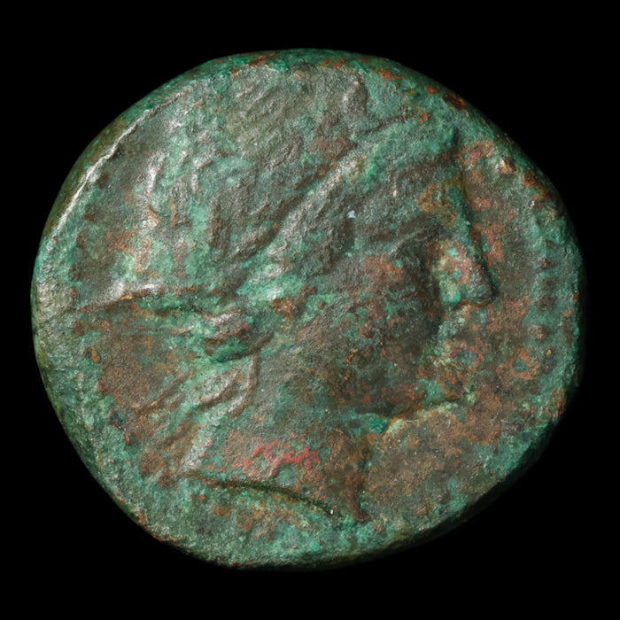 Bruttium, City of Petelia, Bronze Unit (Apollo) - 214 to 204 BCE - Greek World