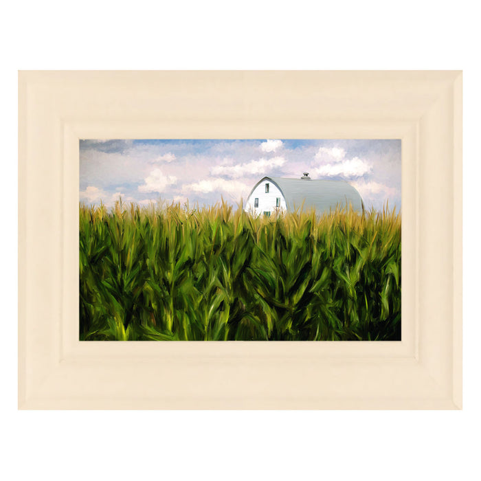 Corn Fields Barn