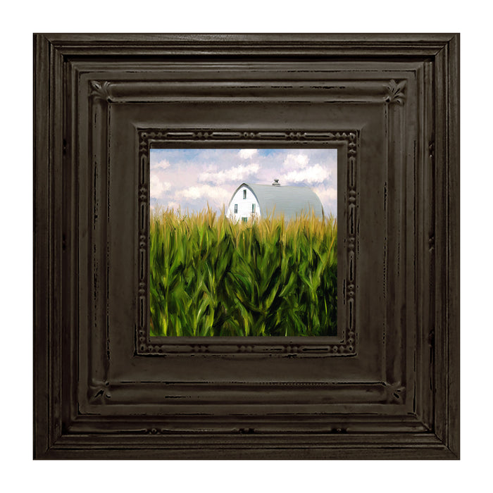Corn Fields Barn