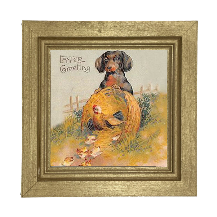 Dachshund with Baby Chicks