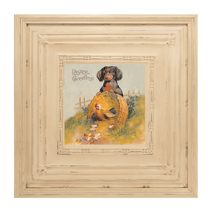 Dachshund with Baby Chicks
