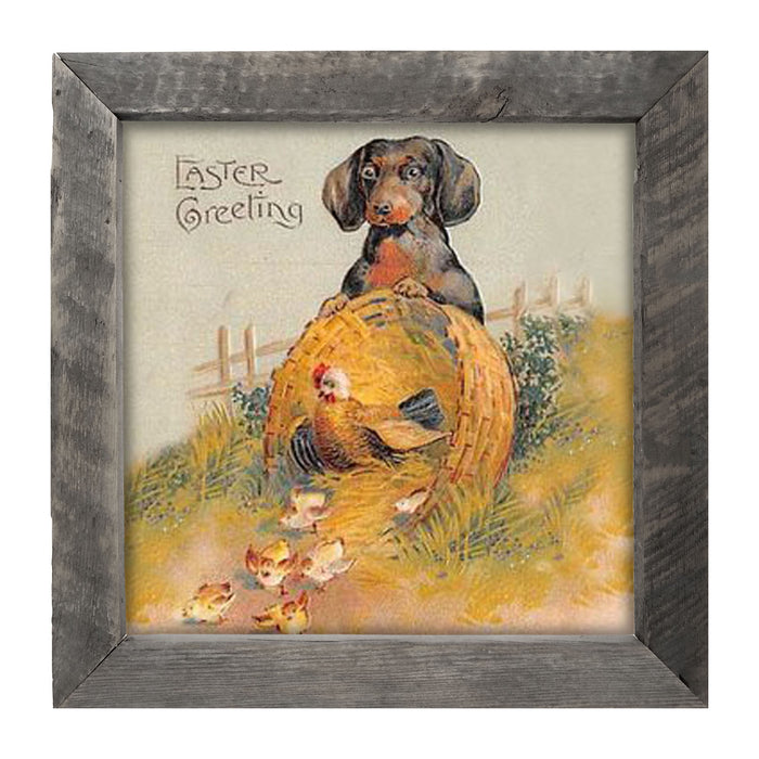 Dachshund with Baby Chicks