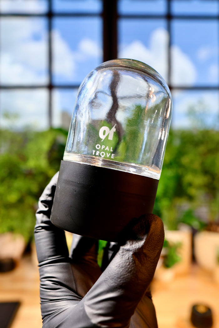 Dome Jars