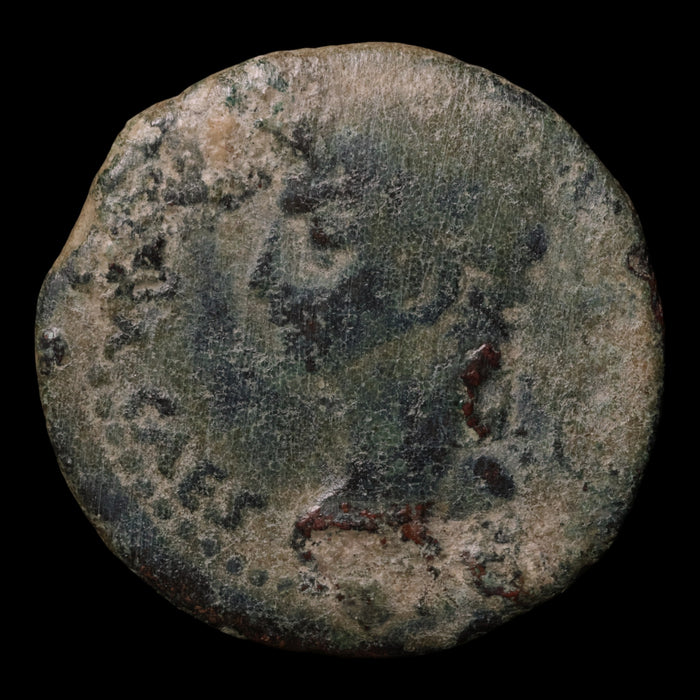 Emperor Augustus (Octavian), Roman Provincial (Hispania) - c. 27 to 14 BCE - Roman Empire