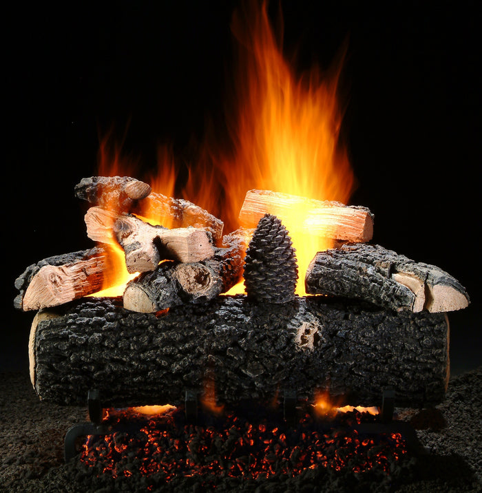Hargrove 18-21 Inch Fresh Cut Series Vented Gas Log Set With Variable Flame Control - 18RNEB1F5