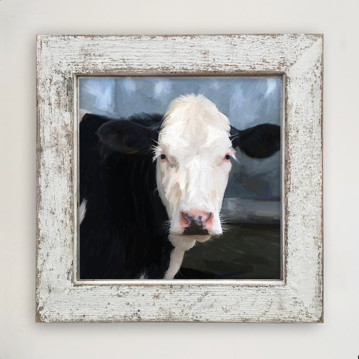 Holstein cow portrait