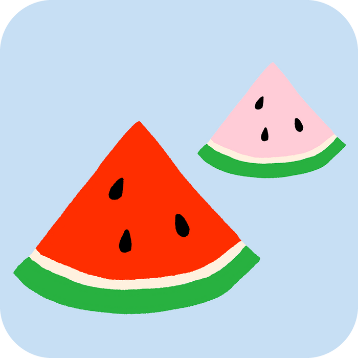 Hot Dang Press - Watermelon Buddies Iron-On