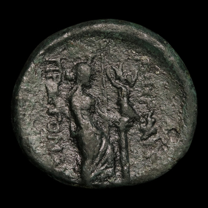 reverse