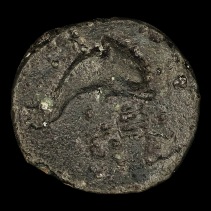 Lucania, City of Paestum, Bronze Unit (Poseidon) - c. 218 to 201 BCE - Greek World