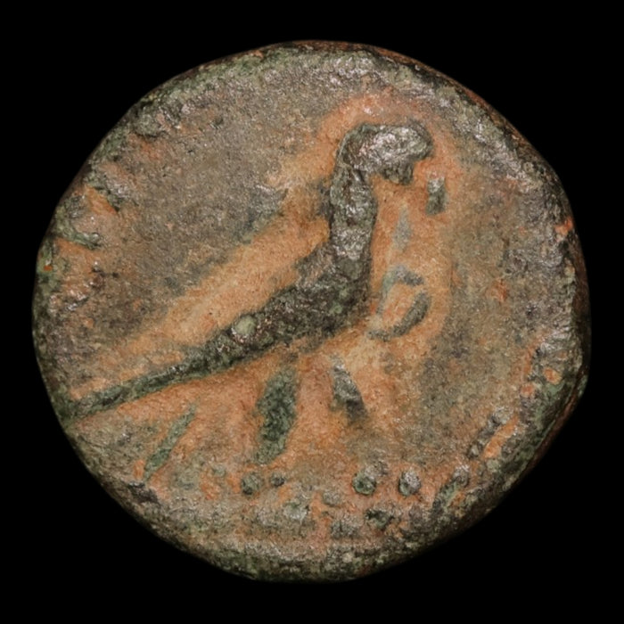 reverse