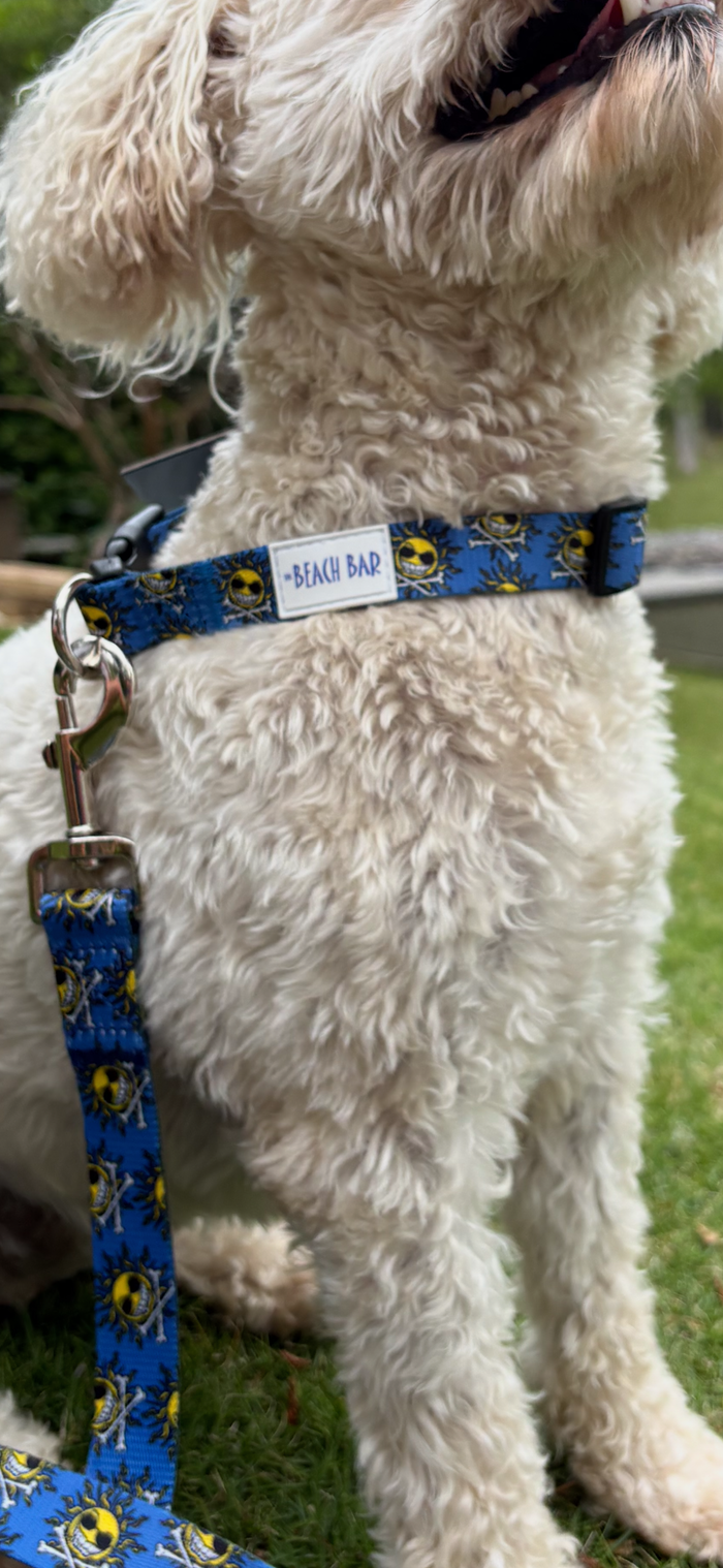 MD Dog Collar