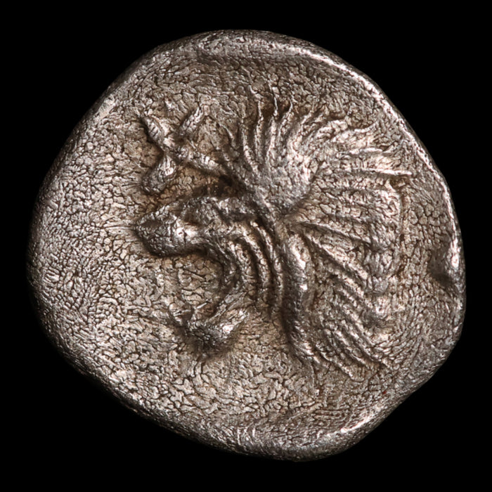 Mysia, City of Kyzikos, AR Hemiobol, Boar & Lion - c. 480 to 400 BCE - Greek World