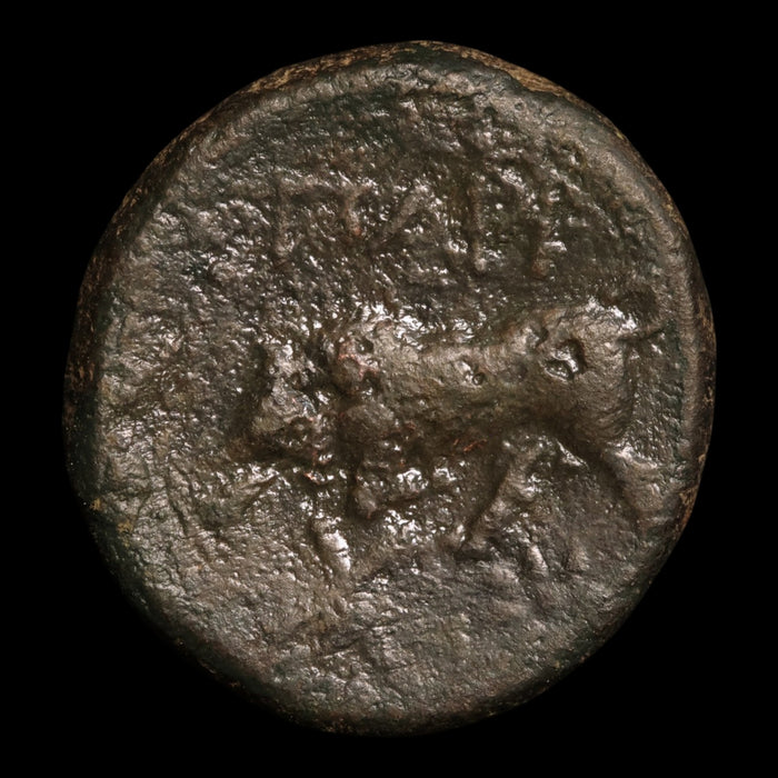 Mysia, City of Parion, AE Unit, Apollo (Major Greek God) - c. 200 to 100 BCE - Greek World