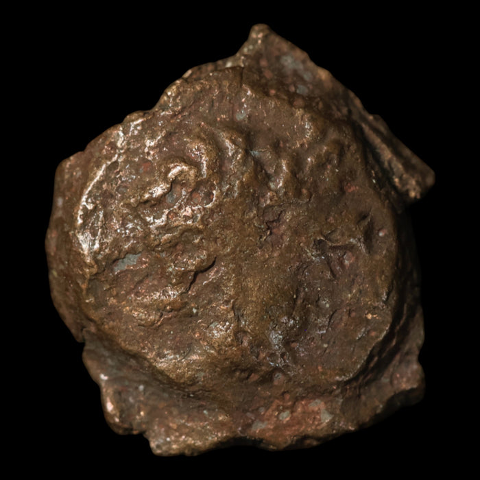 North Africa, Cyrenaica Under Egyptian (Ptolemaic) Rule, Bronze Unit - c. 221 to 140 BCE - Greek World