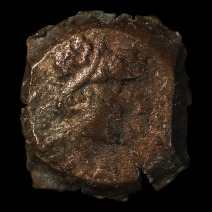 North Africa, Cyrenaica Under Egyptian (Ptolemaic) Rule, Bronze Unit - c. 221 to 140 BCE - Greek World