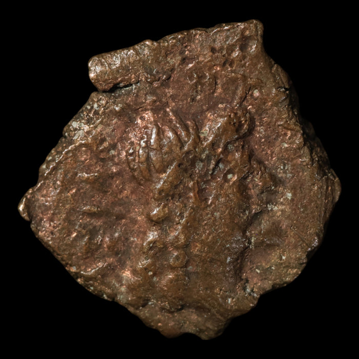 North Africa, Cyrenaica Under Egyptian (Ptolemaic) Rule, Bronze Unit - c. 221 to 140 BCE - Greek World