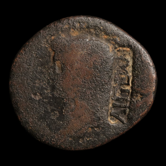 Peloponnesus, Patras, Augustus (Posthumously Under Tiberius), AE Unit - c. 14 to 37 CE - Roman Provinces