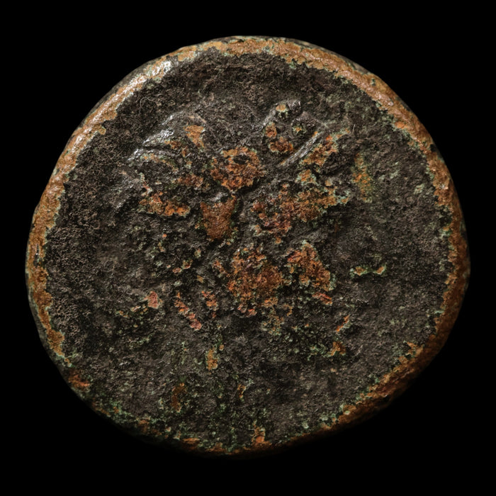 Pontus, City of Amisos, Bronze Unit, Dionysus (God of Wine) - c. 88 to 65 BCE - Greek World