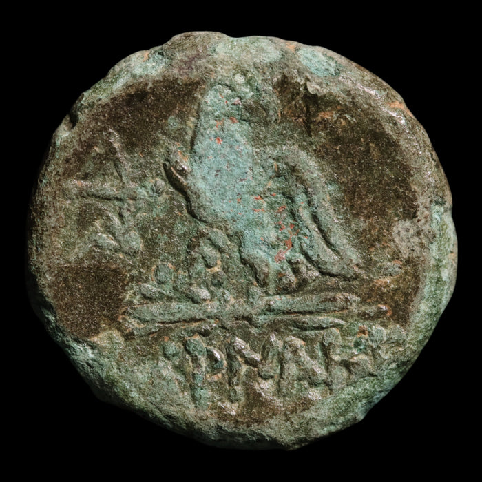 Pontus, City of Amisos, Bronze Unit, Zeus & Eagle - 120 to 63 BCE - Greek World