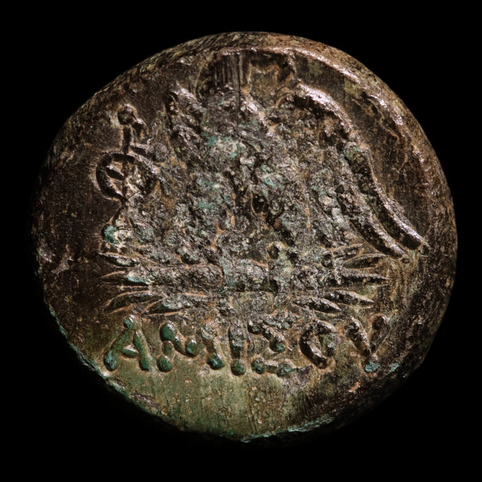 Pontus, City of Amisos, Bronze Unit, Zeus & Eagle - 120 to 63 BCE - Greek World