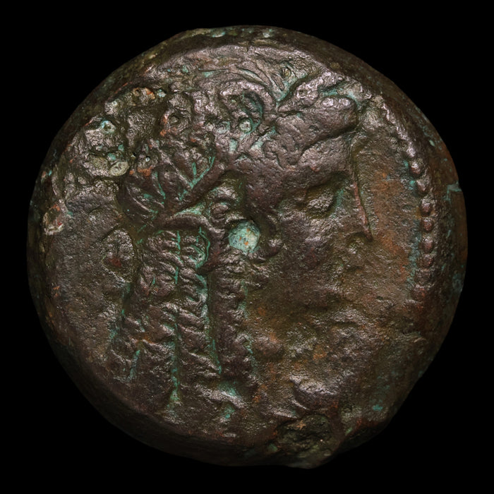 Ptolemaic Egypt, Ptolemy VI and Cleopatra I, AE27, Isis & Eagle - 180 to 145 BCE - Ancient Egypt