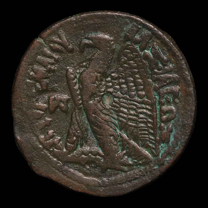 Ptolemaic Egypt, Ptolemy VI and Cleopatra I, AE27, Isis & Eagle - 180 to 145 BCE - Ancient Egypt