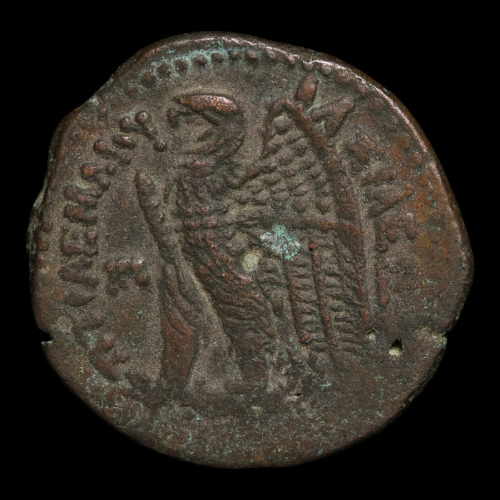Ptolemaic Egypt, Ptolemy VI and Cleopatra I, AE28, Isis & Eagle - 180 to 145 BCE - Ancient Egypt