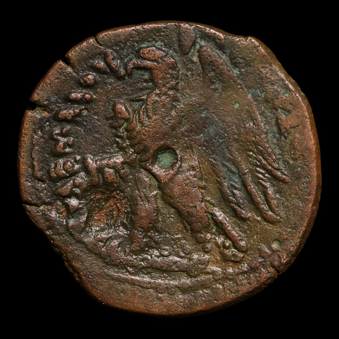 Ptolemaic Egypt, Ptolemy VI and Cleopatra I, AE28, Isis & Eagle - 180 to 145 BCE - Ancient Egypt