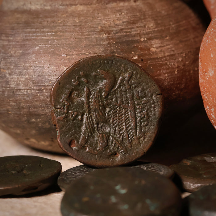 Ptolemaic Egypt, Ptolemy VI & Cleopatra I, Bronze Unit - 180 to 145 BCE - Ancient Egypt
