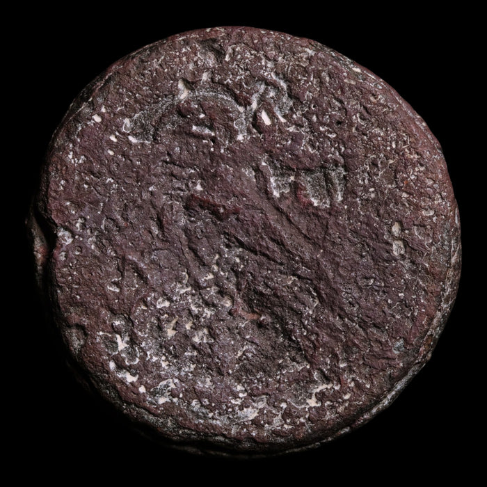 reverse