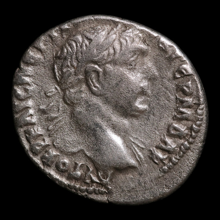 Roman Arabia, Emperor Trajan, AR Denarius, Arabia & Camel Reverse - 113 CE - Roman Provinces