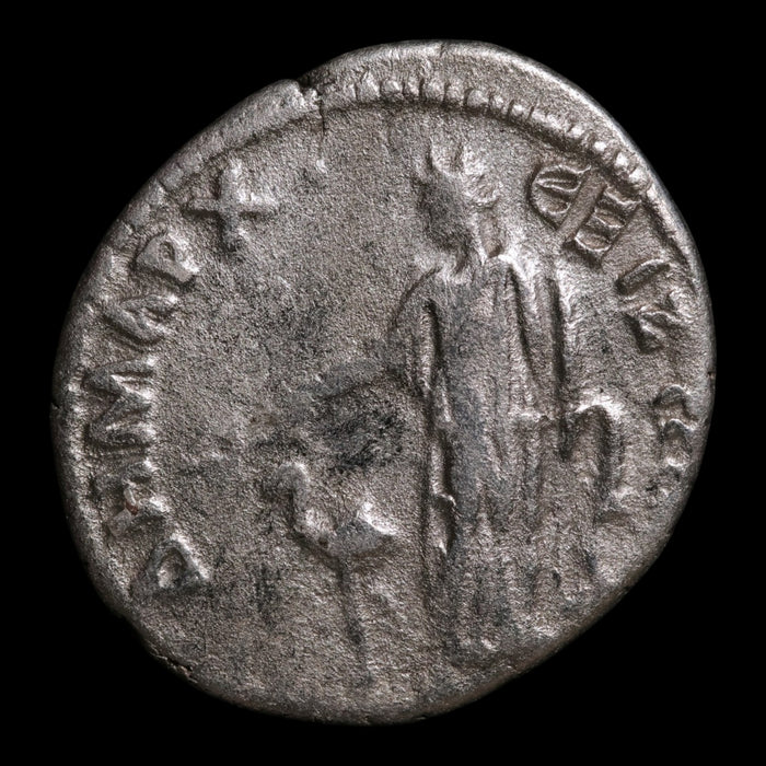 Roman Arabia, Emperor Trajan, AR Denarius, Arabia & Camel Reverse - 113 CE - Roman Provinces