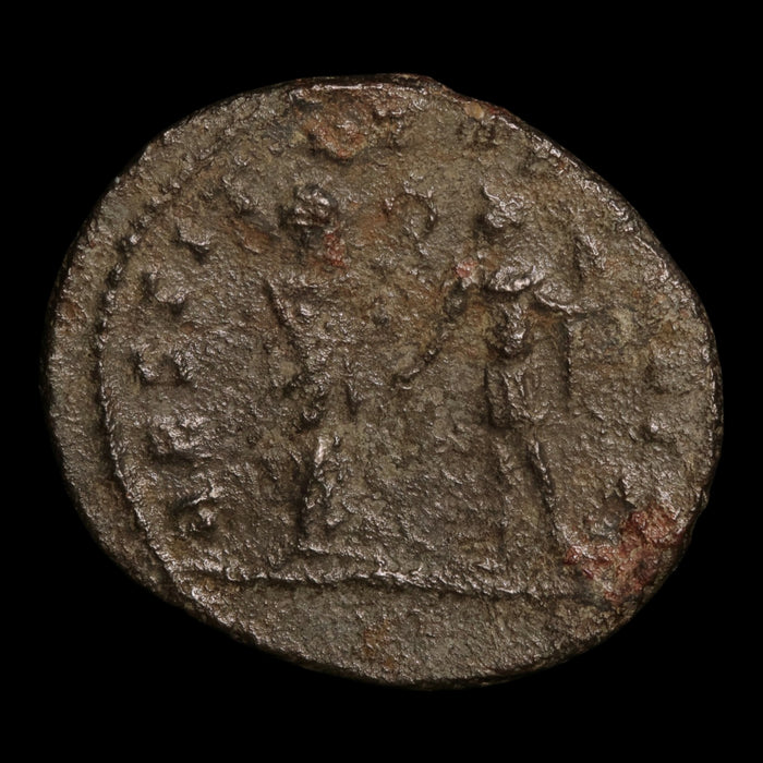 reverse