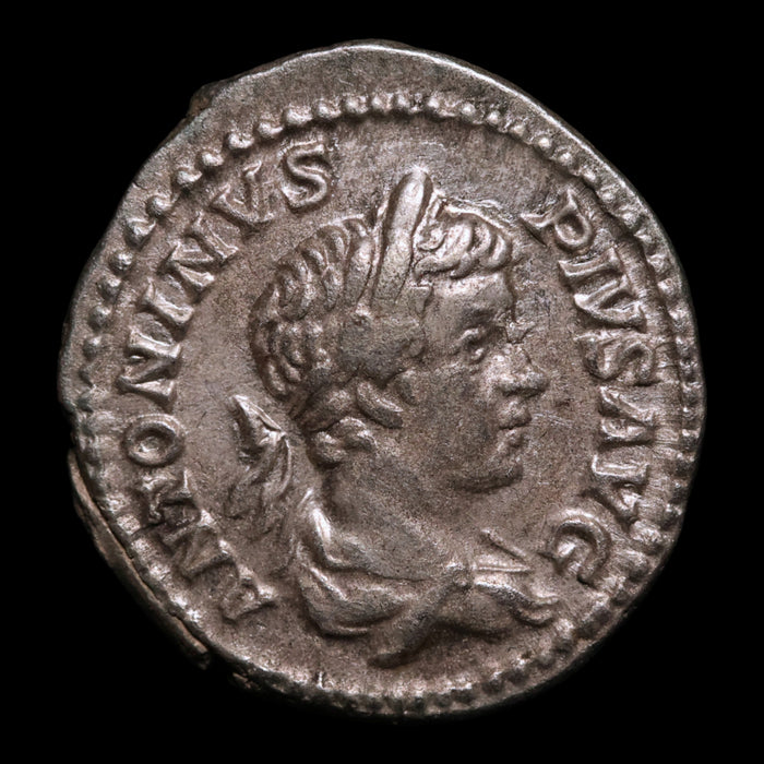 Rome, Emperor Caracalla, AR Denarius, Liberalitas (Virtue of Giving) - 201 to 206 CE - Roman Empire