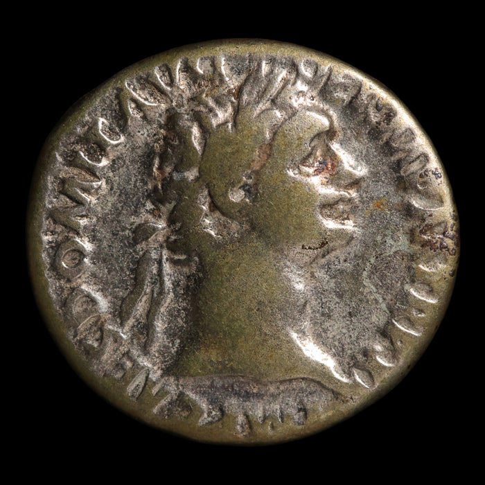 Rome, Emperor Domitian, AR Denarius, Minerva (Goddess of Wisdom) - 92 CE - Roman Empire