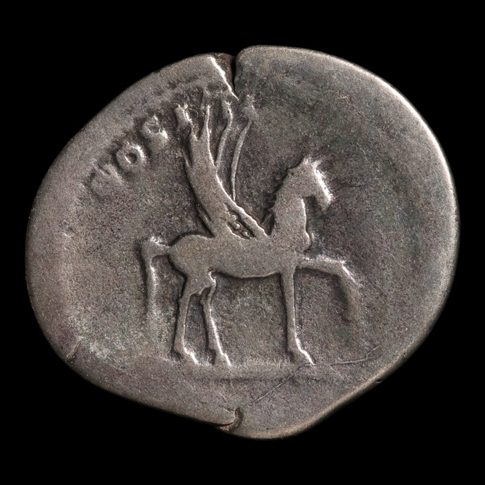 Rome, Emperor Domitian, AR Denarius, Pegasus Reverse - 76 to 77 CE - Roman Empire