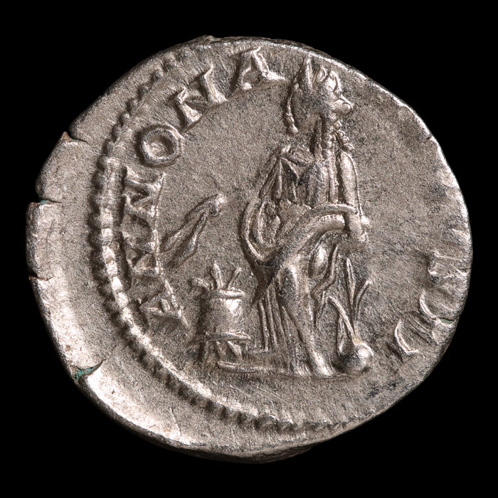 Rome, Emperor Elagabalus, AR Denarius, Annona (Deity of Grain) - 218 to 222 CE - Roman Empire