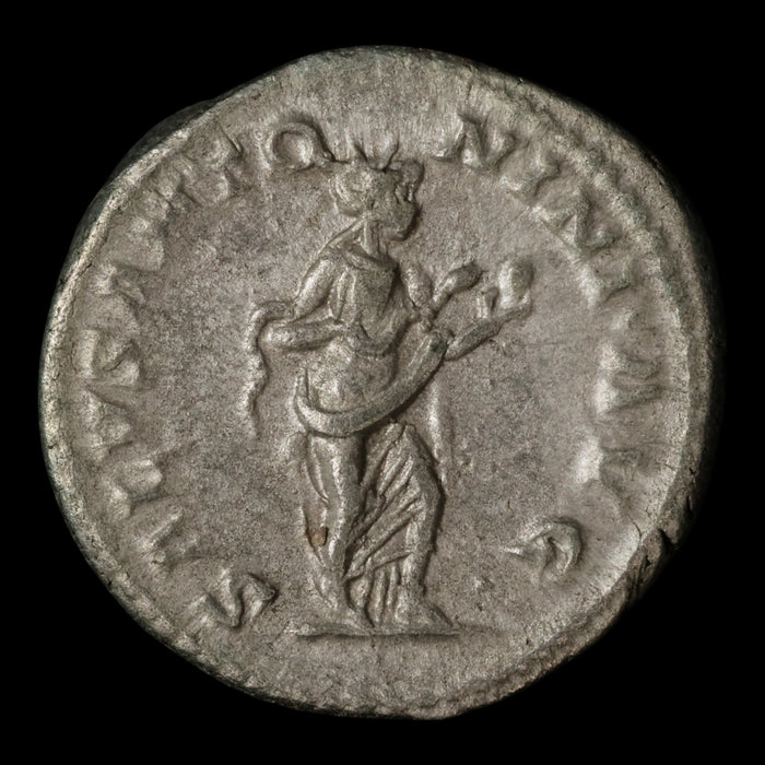 Rome, Emperor Elagabalus, Denarius, Salus (Goddess of Safety) - 218 to 222 CE - Roman Empire